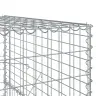 Kaanega Gabioonkorv, 100 X 100 X 150 cm Tsingitud Raud