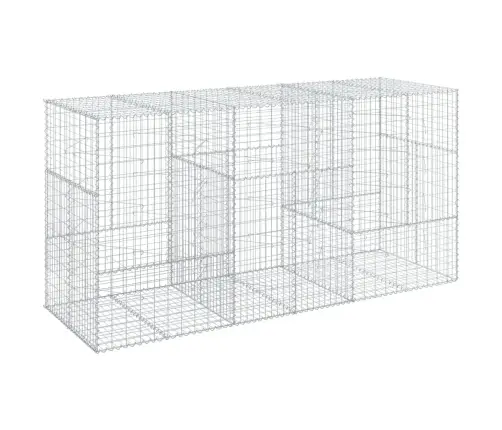 Kaanega Gabioonkorv, 300X100X150 cm Tsingitud Raud
