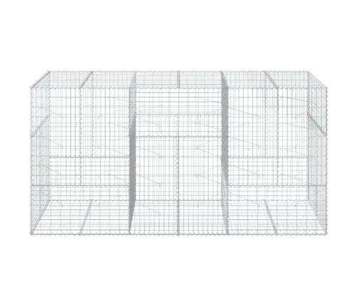 Kaanega Gabioonkorv, 300X100X150 cm Tsingitud Raud