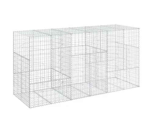 Kaanega Gabioonkorv, 300X100X150 cm Tsingitud Raud