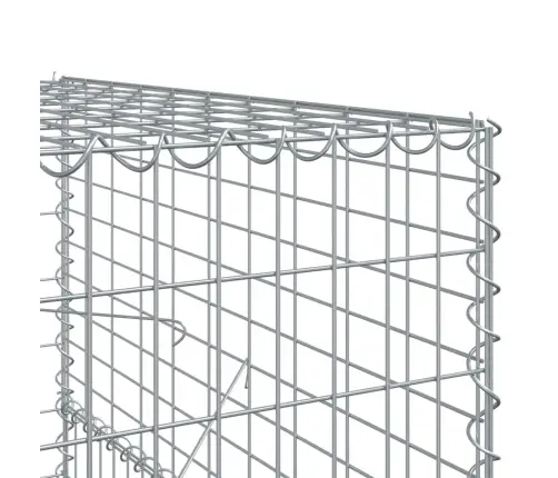 Kaanega Gabioonkorv, 300X100X150 cm Tsingitud Raud