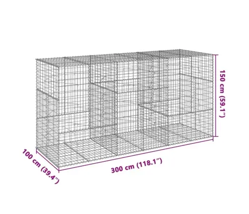 Kaanega Gabioonkorv, 300X100X150 cm Tsingitud Raud