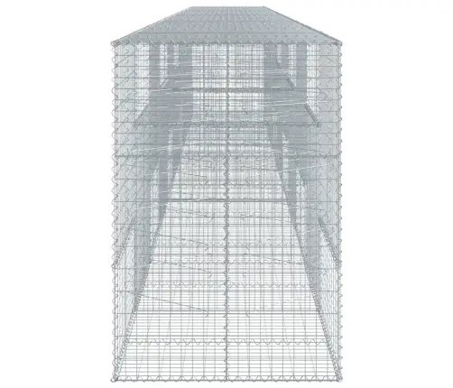 Kaanega Gabioonkorv, 1000X100X150 cm Tsingitud Raud