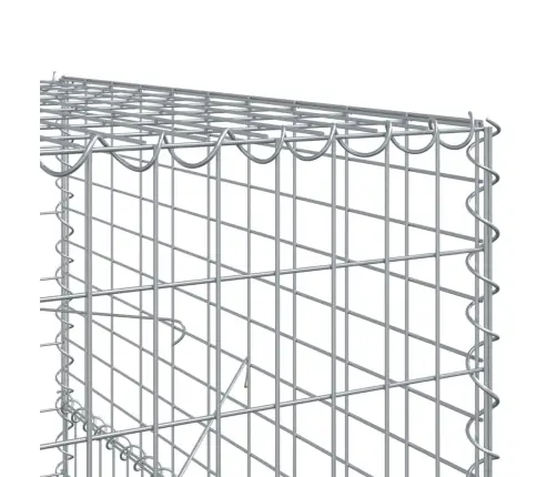 Kaanega Gabioonkorv, 1000X100X150 cm Tsingitud Raud