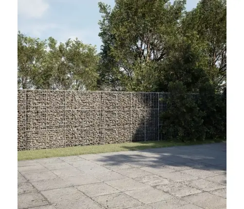 Kaanega Gabioonkorv, 1200X100X150 cm Tsingitud Raud