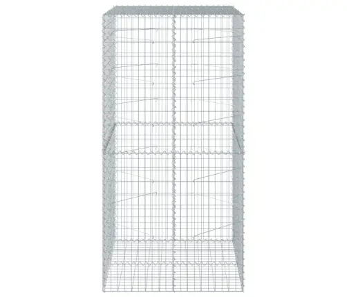 Gabiona Grozs Ar Vāku, 100X100X200 Cm, Cinkota Dzelzs Vidaxl