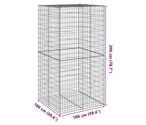Gabiona Grozs Ar Vāku, 100X100X200 Cm, Cinkota Dzelzs Vidaxl