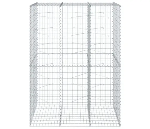 Gabiona Grozs Ar Vāku, 150X100X200 Cm, Cinkota Dzelzs Vidaxl