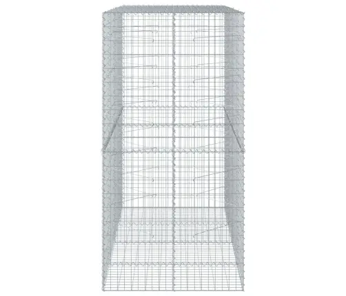 Gabiona Grozs Ar Vāku, 200X100X200 Cm, Cinkota Dzelzs Vidaxl