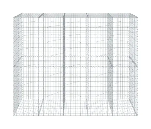 Gabiona Grozs Ar Vāku, 250X100X200 Cm, Cinkota Dzelzs Vidaxl