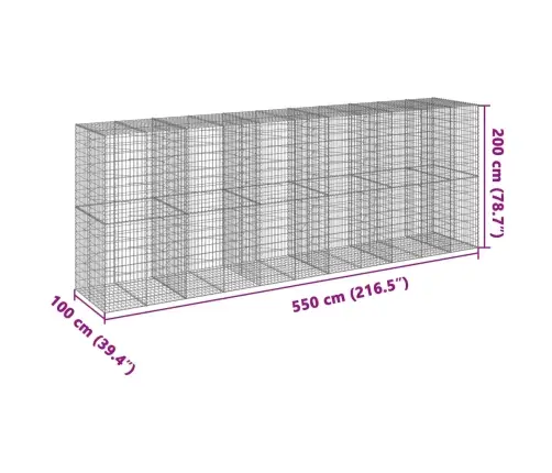 Kaanega Gabioonkorv, 550 X 100 X 200 cm Tsingitud Raud
