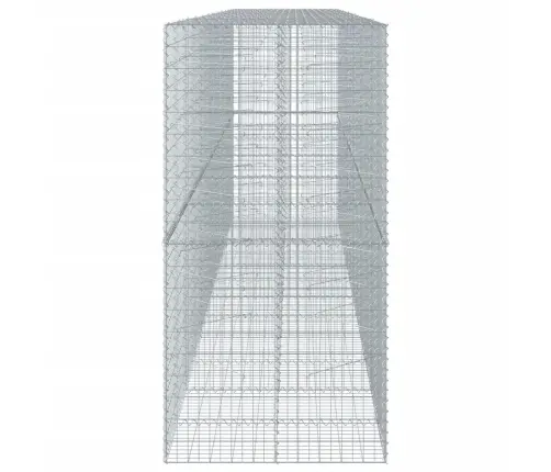 Kaanega Gabioonkorv, 600 X 100 X 200 cm Tsingitud Raud