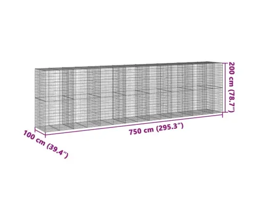 Kaanega Gabioonkorv, 750 X 100 X 200 cm Tsingitud Raud Kaanega Gabioonkorv, 750 X 100 X 200 cm Tsingitud Raud