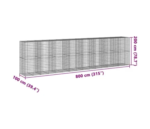 Kaanega Gabioonkorv, 800X100X200 cm Tsingitud Raud