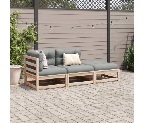 3-Osaline Aiadivani Komplekt Istmepatjadega, Männipuit