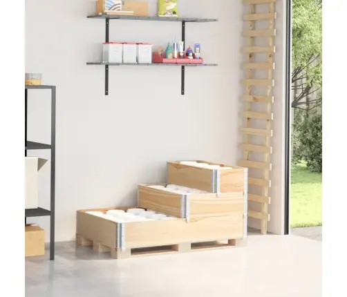 3-Korruseline Taimekast, 120X80 cm Männipuit