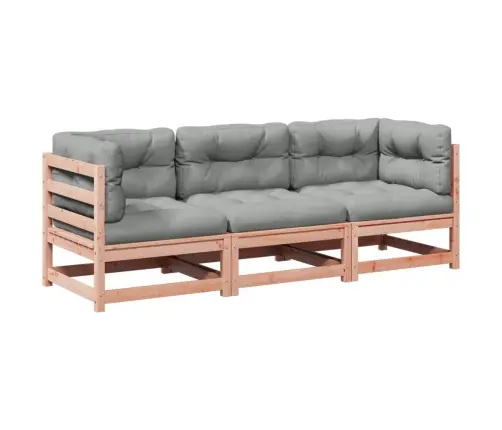 3-Osaline Aiadiivani Komplekt Patjadega, Ebatsuuga Puit