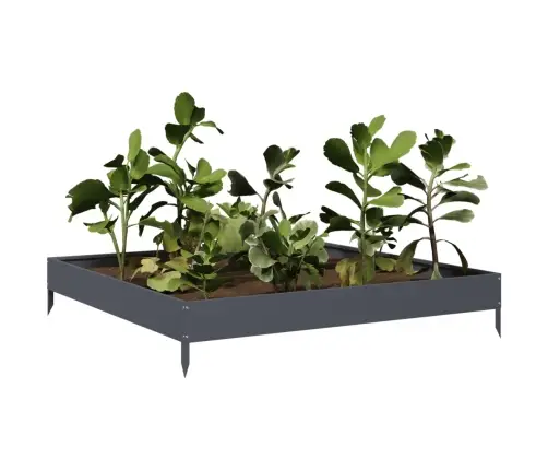 Augstā Puķu Kaste, Antracītpelēka, 100X100X18,5 Cm, Tērauds Vidaxl