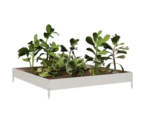 Kõrgendatud Aia Taimelava, 100 X 100 X 18,5 Cm Roostevaba Teras