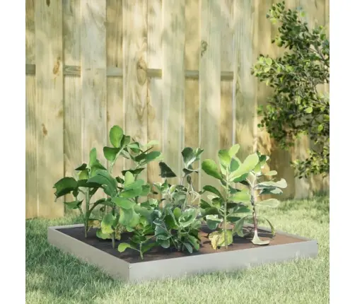 Kõrgendatud Aia Taimelava, 100 X 100 X 18,5 Cm Roostevaba Teras