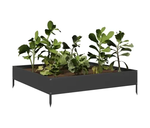 Kõrgendatud Aia Taimelava, Must, 100 X 100 X 26 cm Teras