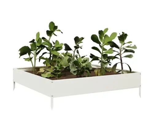 Kõrgendatud Aia Taimelava, Valge, 100X100X26 cm Teras