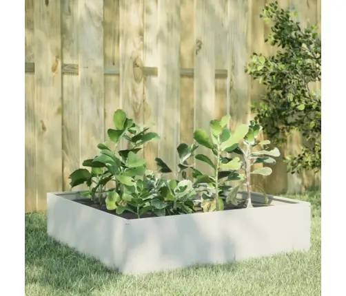 Kõrgendatud Aia Taimelava, Valge, 100X100X25 cm Teras