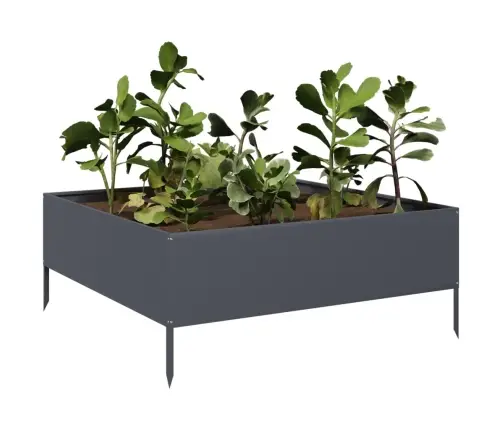 Kõrgendatud Aia Taimelava, Antratsiit, 100X100X25 cm Teras