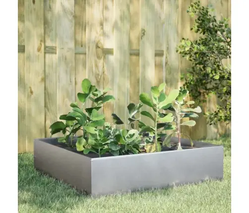 Taimekast, 100X100X25 cm Tsingitud Teras