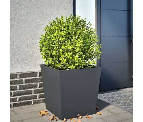 Aia Taimekast, Antratsiithall, 50 X 50 X 50 cm Teras