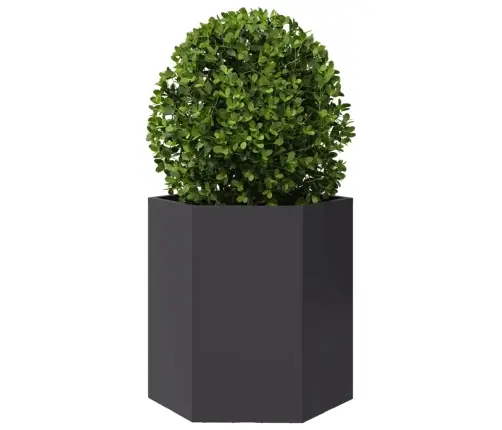 Aia Taimekastid 2 Tk, Must, Kuusnurkne, 46X40X45 cm Teras