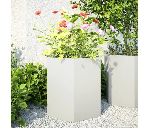 Sodo Sodinukai 2 Vnt Baltas Šešiakampis 46X40X45 Cm Plieninis