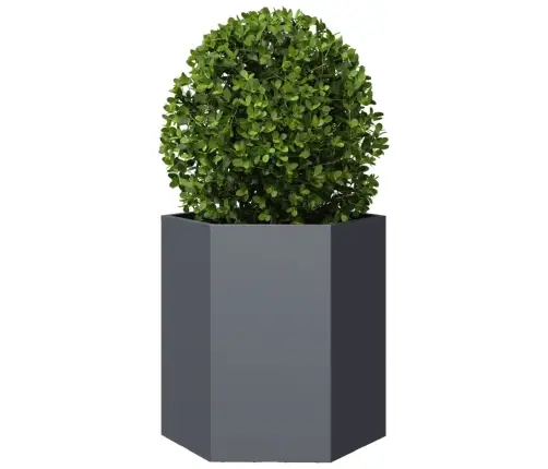 Puķu Kastes, 2 Gab., Pelēkas, Sešstūra, 46X40X45 Cm, Tērauds Vidaxl