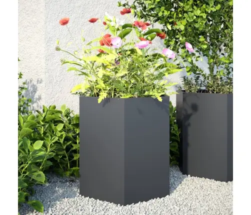 Puķu Kastes, 2 Gab., Pelēkas, Sešstūra, 46X40X45 Cm, Tērauds Vidaxl