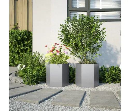 Sodo Sodinukai 2 Vnt Šešiakampis 46X40X45 Cm Cinkuoto Plieno