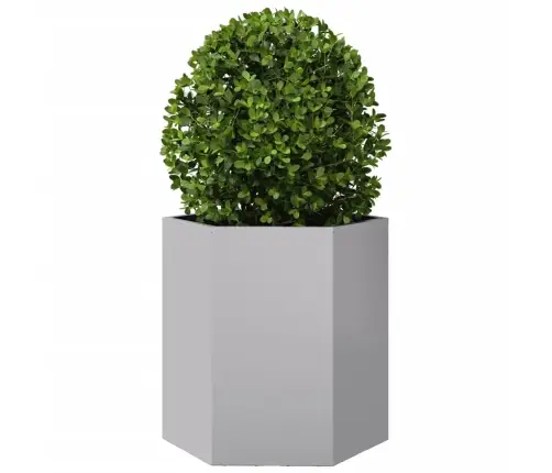 Sodo Sodinukai 2 Vnt Šešiakampis 46X40X45 Cm Cinkuoto Plieno