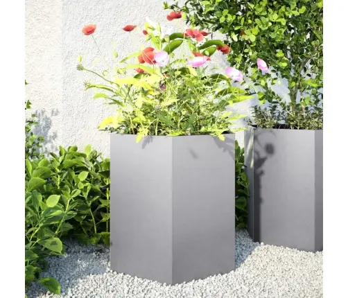 Sodo Sodinukai 2 Vnt Šešiakampis 46X40X45 Cm Cinkuoto Plieno