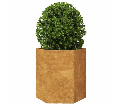 Sodo Loveliai 2Vnt Šešiakampė Atspari Oro Sąlygoms Plieno