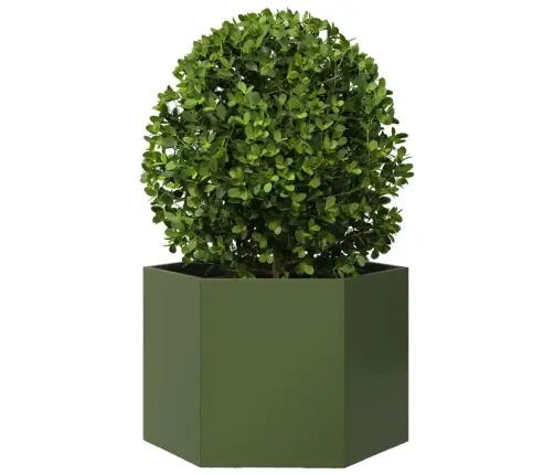 Sodo Lovelis, Alyvuogių, 69X60X45cm Plienas, Šešiakampis