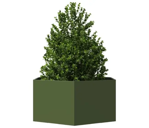 Sodo Lovelis, Alyvuogių, 104X90X45cm Plienas, Šešiakampis