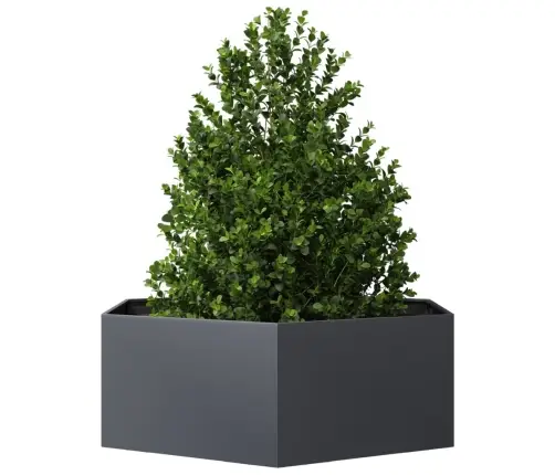 Kuusnurkne Aia Taimekast, Antratsiit, 138 X 120 X 45 cm Teras