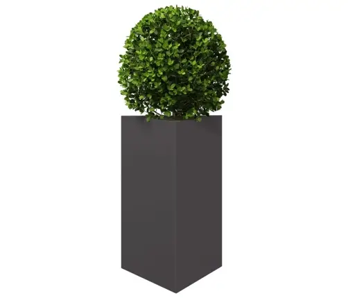 Aia Taimekastid 2 Tk, Must, Kolmnurk, 50X43X75 cm Teras