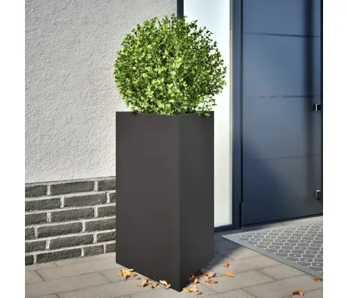 Aia Taimekastid 2 Tk, Must, Kolmnurk, 50X43X75 cm Teras