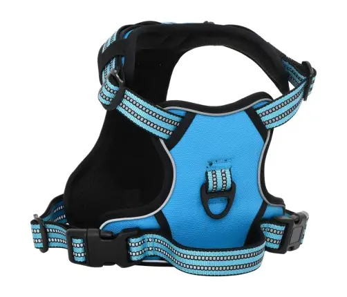 Diržai Šunims Su Atspindinčiomis Juostelėmis, Mėlynos, M