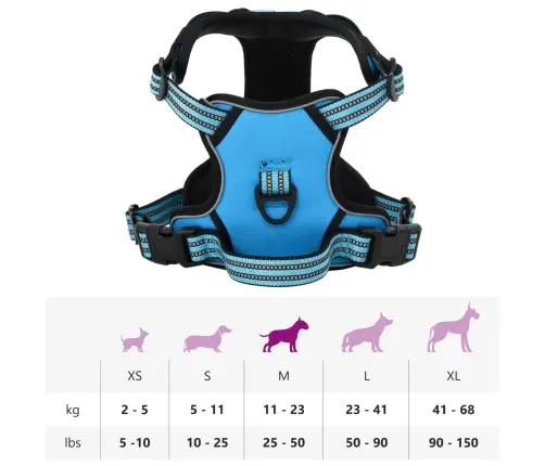 Diržai Šunims Su Atspindinčiomis Juostelėmis, Mėlynos, M