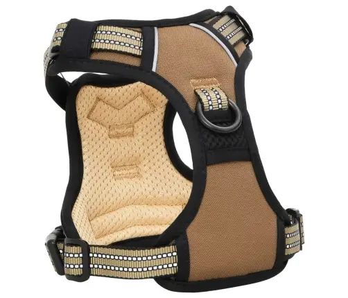 Koera Traksid Helkurribadega, Reguleeritav, Pruun M