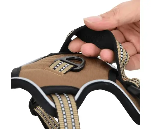 Koera Traksid Helkurribadega, Reguleeritav, Pruun M