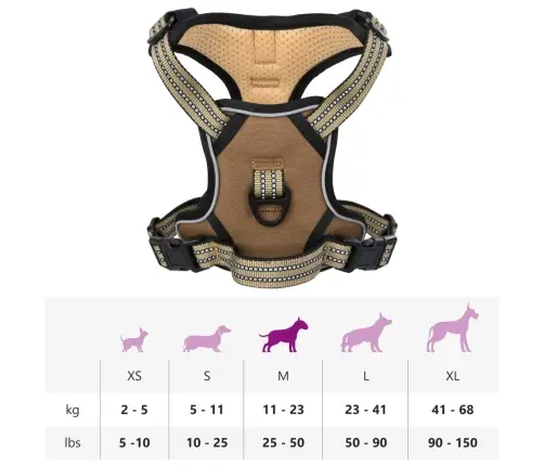 Koera Traksid Helkurribadega, Reguleeritav, Pruun M