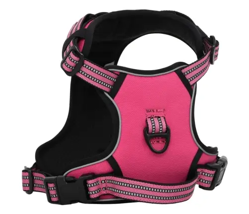 Koerarakmed Helkurribadega, Reguleeritav, Roosa M