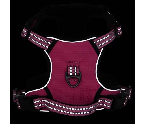 Koerarakmed Helkurribadega, Reguleeritav, Roosa M